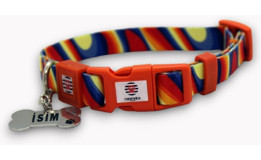 Caramelos M İsimli Boyun Köpek Tasması Çok Renkli