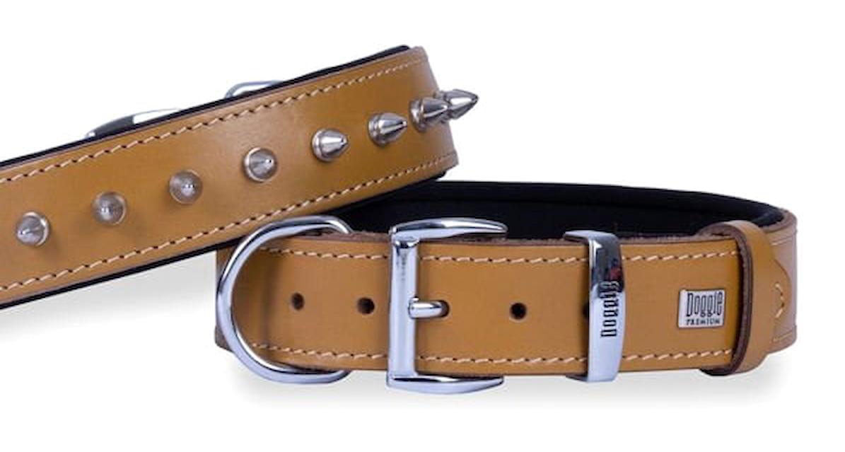 Doggie 47-55 cm Ayarlanabilir Boyun Köpek Tasması Camel