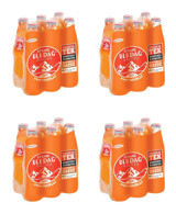 Uludağ Efsane Portakallı Şişe Gazoz 24x250 ml