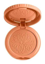 Pastel Prety Cheeks No:15 Işıltılı Toz Allık