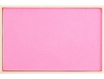 Dora Joy Refill Needed 01 Wild Pink Işıltılı Toz Allık
