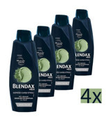 Blendax Men Kepek Karşıtı Kil Özlü 4 ü Bir Arada Şampuan 4x500 ml