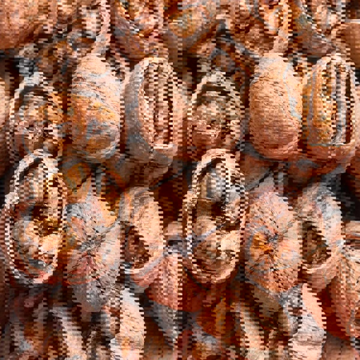 DoğuMark Dökme Ürünler Organik Tane Kabuklu Çiğ Ceviz 1 kg