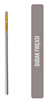 Demstar Champagne No:23 Dudak Fırçası