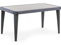 Bintaş Mobilya Dikdörtgen Plastik 150x90 cm Antrasit Bahçe Masası