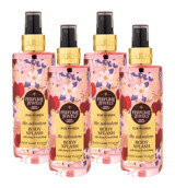 Eyüp Sabri Tuncer The Adventure Çiçeksi Kadın Vücut Spreyi 4x250 ml
