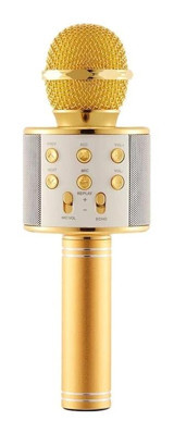 Torima WS-858 AUX Kablolu Altın El Mikrofon