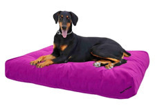 Mavi Vitrin Ultra Soft Ortopedik Yıkanabilir Büyük Irk İç Mekan Köpek Yatağı Pembe