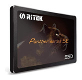 Ritek Panther Series SE SATA 3.0 256 GB 2.5 inç SSD