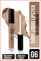 New Well Make Up Station Shiny 06 Likit Ruj