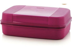 Tupperware F20 Dikdörtgen Plastik 2.5 lt