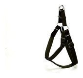 Doggie Comfort Ronin XL Ayarlanabilir Köpek Tasması Siyah