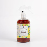 Teona Vanilya Oda Kokusu 500 ml