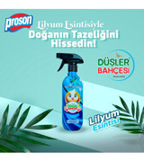 Proson Düşler Bahçesi Lilyum Oda Kokusu 450 ml