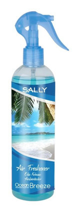 Sally Okyanus Esintisi Oda Kokusu 400 ml