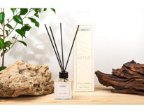 DFN HOME Lorient Çubuklu Lotus Oda Kokusu 100 ml