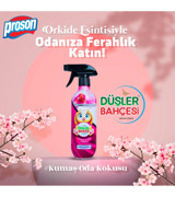 Düşler Bahçesi Orkide Oda Kokusu 450 ml