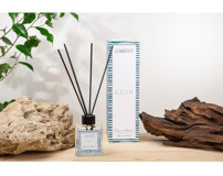 DFN HOME Lorient Azur Çubuklu Wood Oda Kokusu 100 ml