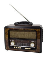 Everton RT-811 5 W Radyolu Kahverengi Bluetooth Hoparlör