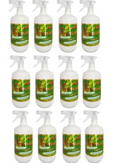 Begonwil Çok Amaçlı Temizleyici 12x1 lt