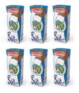 Yörükoğlu Yağlı Laktozlu Sade İnek Süt 6x180 ml