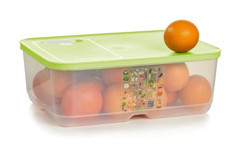 Tupperware Dikdörtgen Plastik Saklama Kabı 9.9 lt