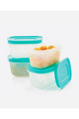 Tupperware Alaska Dikdörtgen Plastik Saklama Kabı 4'lüx170 ml