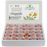 Kor 60'lı Organik Tavuk Yumurta