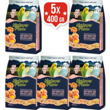 Nature Plan Ballı Yavru Muhabbet Kuşu Yemi 5x400 gr