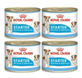 Royal Canin Starter Tavuk Ezme Yavru-Yetişkin Köpek Maması 195 gr 4'lü