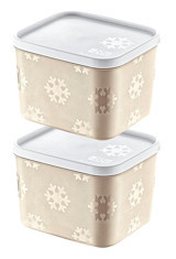 Smartware Set Kare Plastik Saklama Kabı 2x1.25 lt