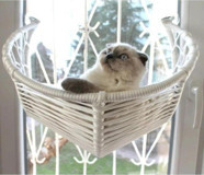 Furnia Harold Vantuzlu Tek Fonksiyonlu 40x40 cm Cama Yapışan Kedi Yatağı Beyaz