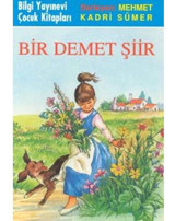 Bİr Demet Şiir - Mehmet Kadri Sümer - Bilgi Yayınevi