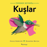 Tepeden Kuyruğa - Kuşlar - Stacey Roderick - Domingo Yayınevi