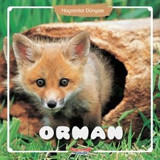 Hayvanlar Dünyası - Orman- Yumurcak Yayınları