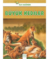 Büyük Kediler-İlk Hazinem - Denise Ryan - 1001 Çiçek
