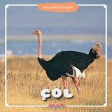 Hayvanlar Dünyası - Çöl- Yumurcak Yayınları