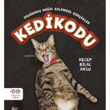 Kedikodu - Recep Bilal Aksu - Cezve Çocuk