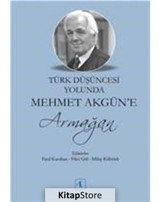 Türk Düşüncesi Yolunda Mehmet Akgün'e Armağan- Aktif Düşünce Yayıncılık