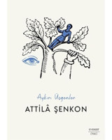 Aykırı Üçgenler - Attila Şenkon - Everest Yayınları