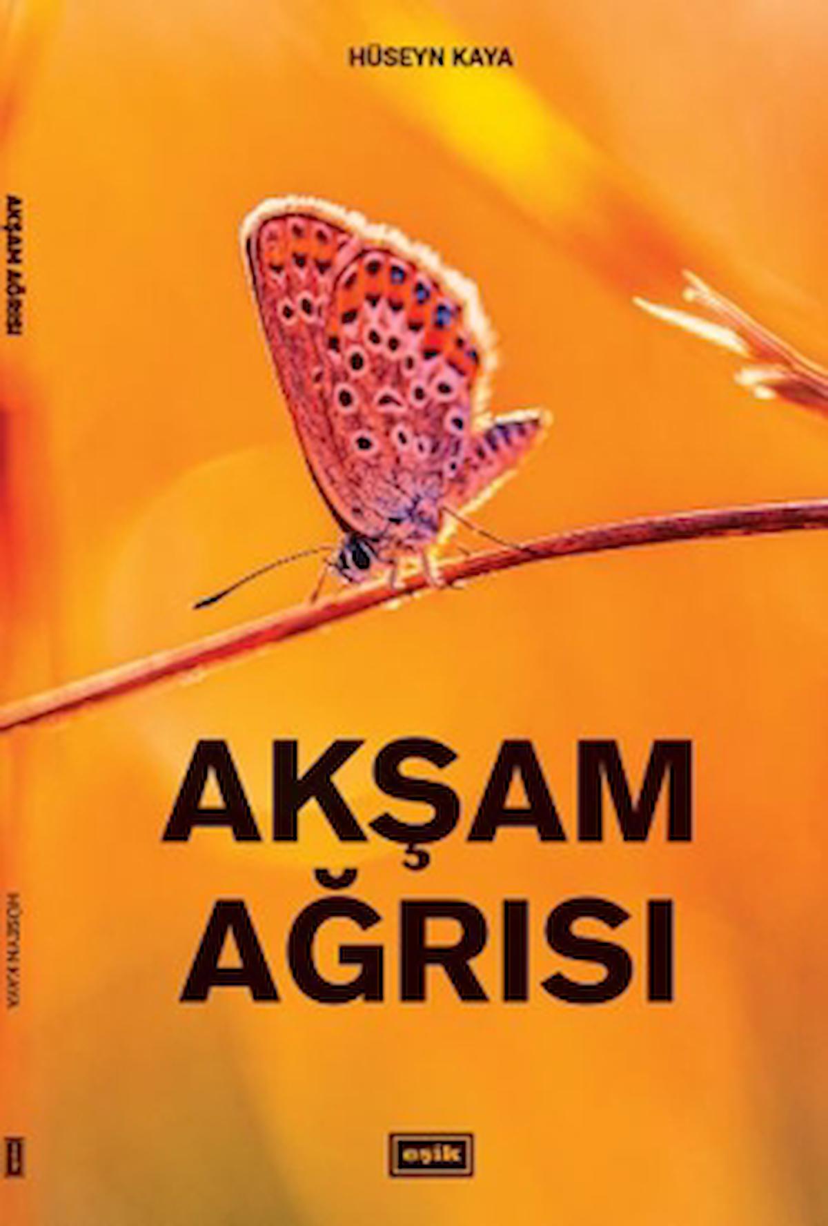 Akşam Ağrısı / Hüseyn Kaya / Eşik Yayınları / 9786057090942