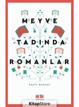 Meyve Tadında Romanlar - Fazlı Köksal - Akıl Fikir Yayınları