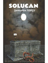 Solucan - Bir Annenin Ölümü - Şemsettin Topçu - Platanus Publishing