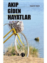 Akıp Giden Hayatlar - Hediye Tekin - Herdem Kitap