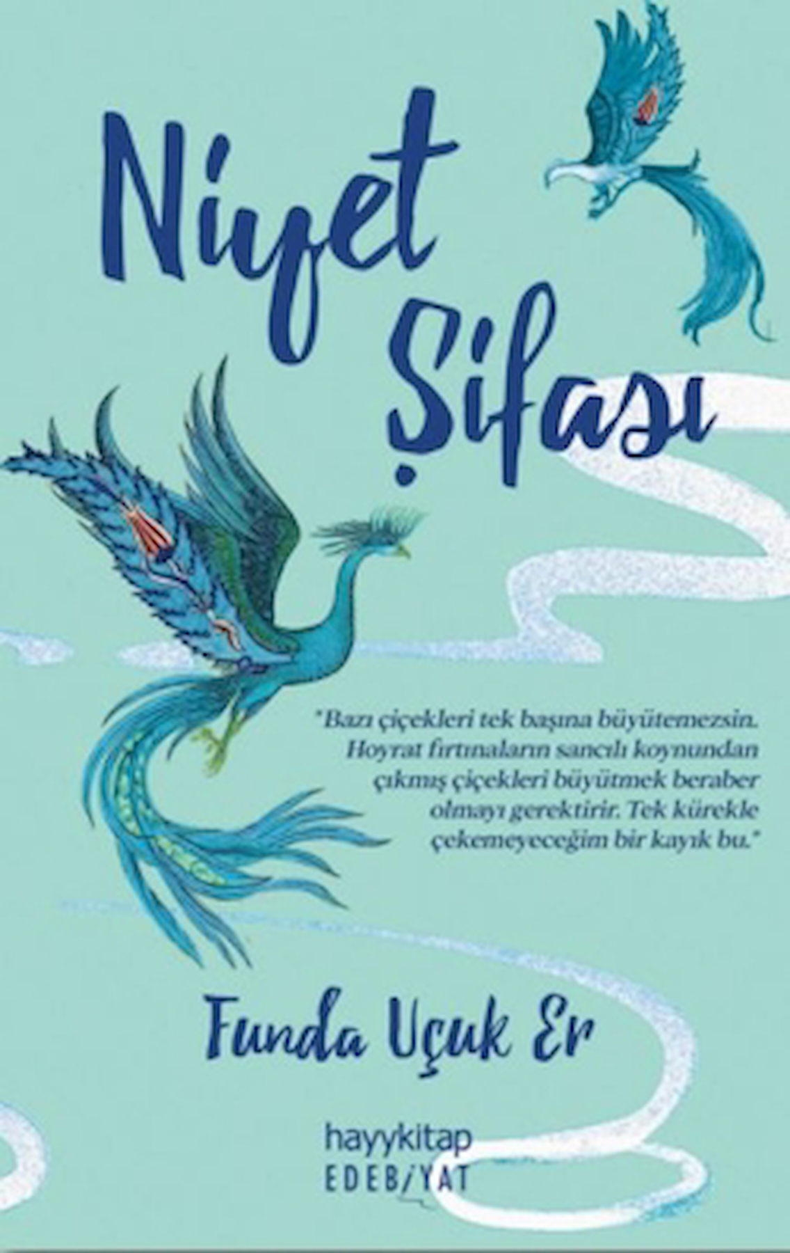 Niyet Şifası / Funda Uçuk Er / Hayykitap / 9786256329188