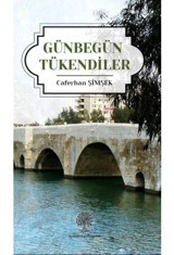 Günbegün Tükendiler - Caferhan Şimşek - Platanus Publishing