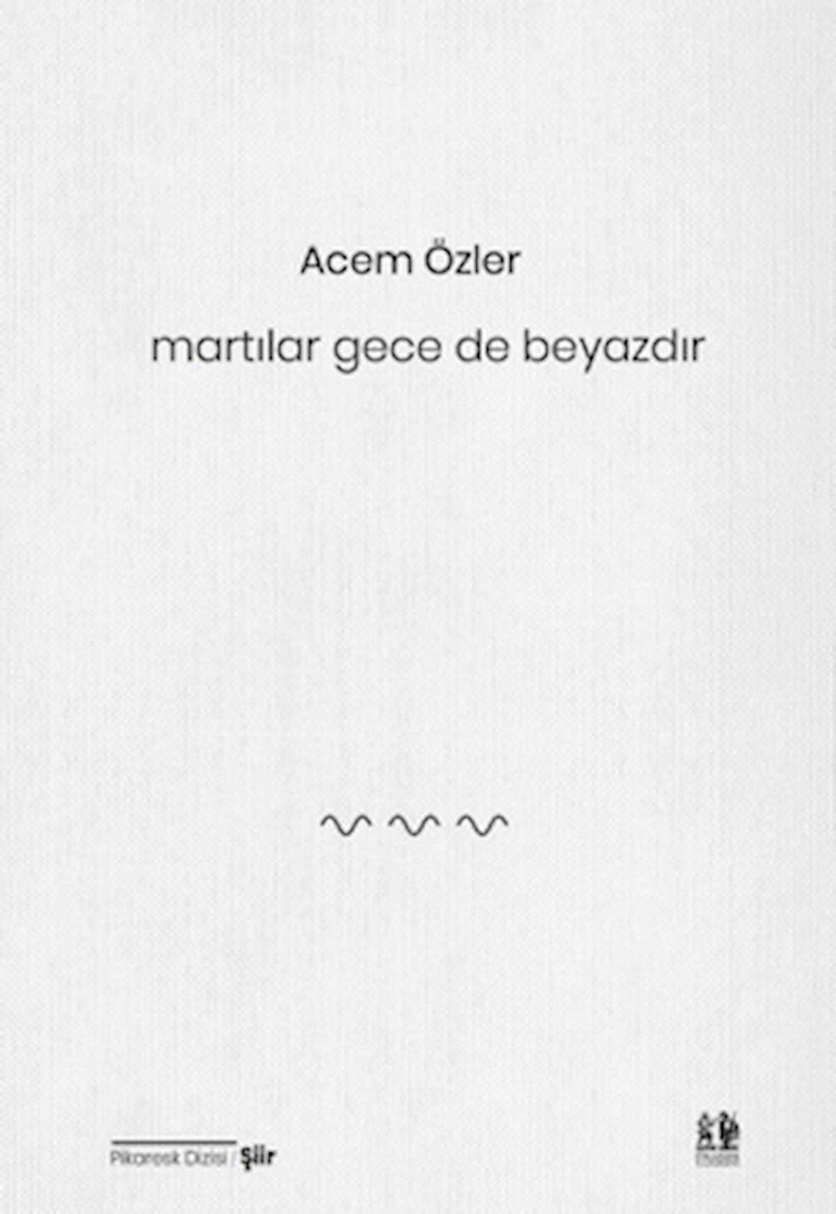 Martılar Gece de Beyazdır / Acem Özler / Pikaresk Yayınevi / 9786259989044