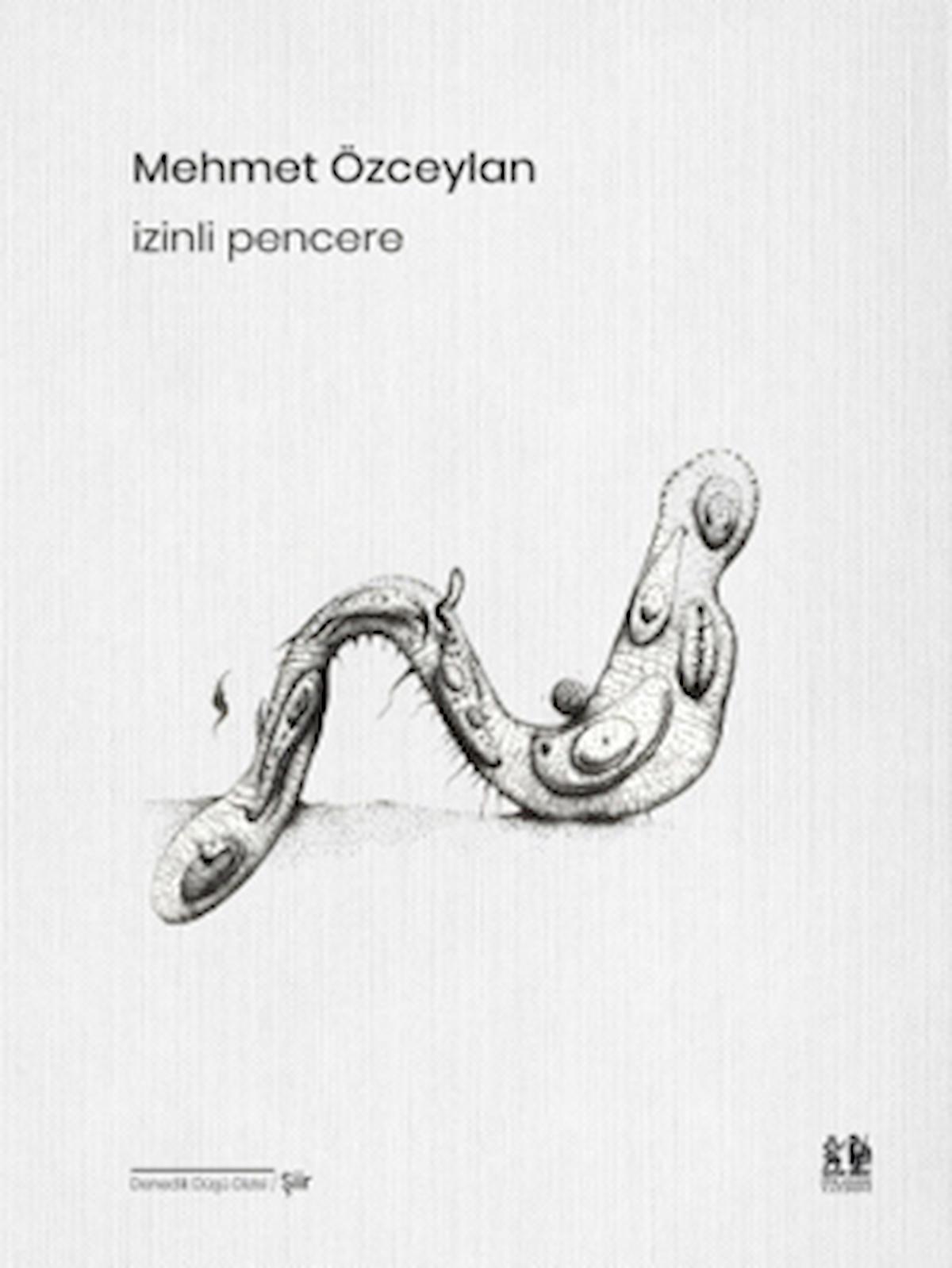 İzinli Pencere / Mehmet Özceylan / Pikaresk Yayınevi / 9786057214454