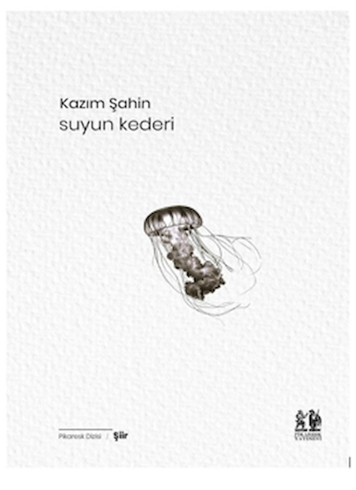 Suyun Kederi / Kazım Şahin / Pikaresk Yayınevi / 9786256778092