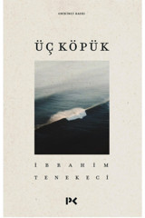 Profil Kitap Üç Köpük, Ibrahim Tenekeci, , Üç Köpük Kitabı, 46 Sayfa
